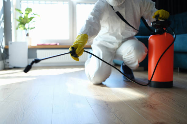Best Wildlife Control Services  in Alamo, NV