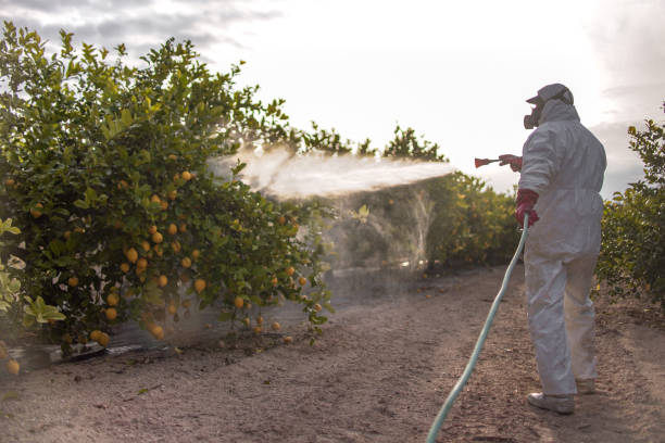 Alamo, NV Pest Control Company