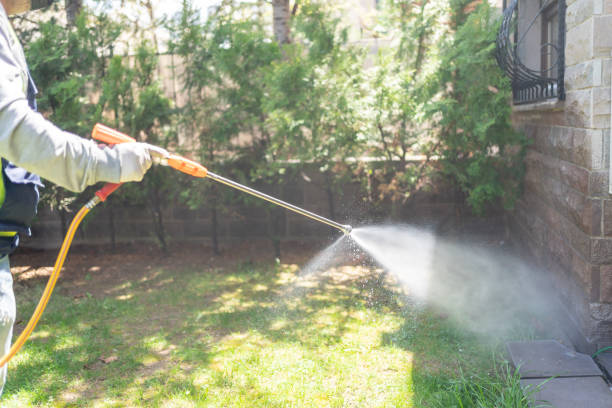 Best Cockroach Control Services  in Alamo, NV